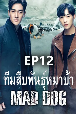 Mad Dog (2017) ทีมสืบพันธุ์หมาบ้า (ซับไทย) EP12